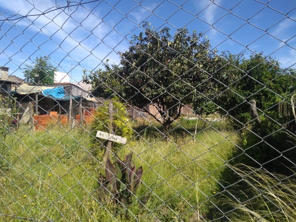 Venta Terreno Barrio Los Eucaliptus